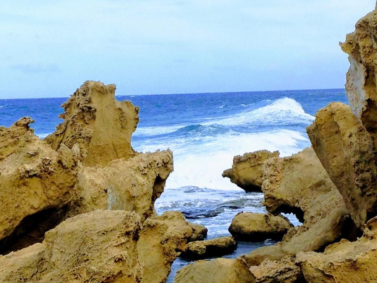 Uptown Holiday App & Pool Daily Rental Contactless Check In & Check Out Famagusta  Bagian luar foto
